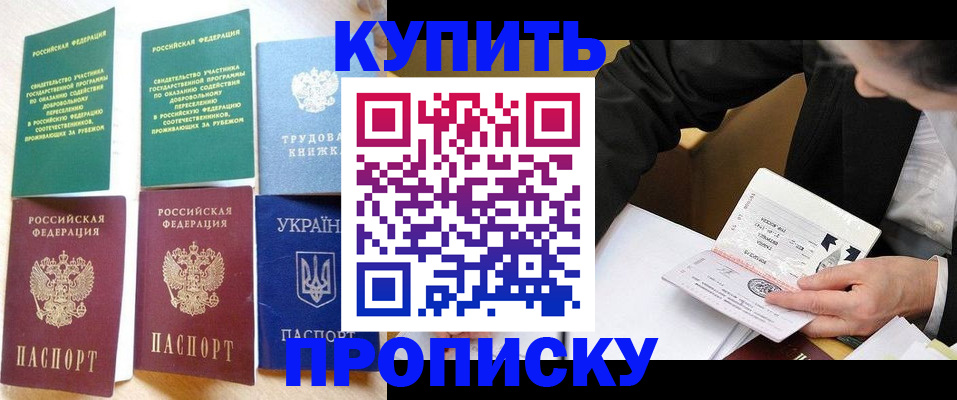 прописка для школы в Кашире